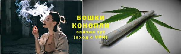 дживик Осинники