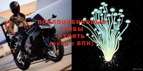 spice Осташков