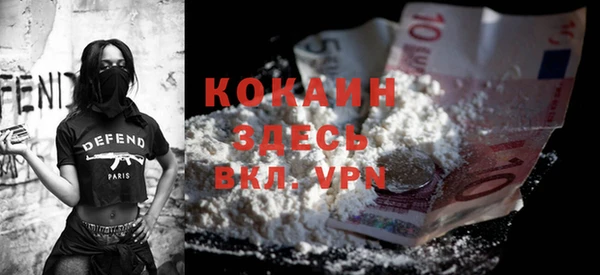 дживик Осинники