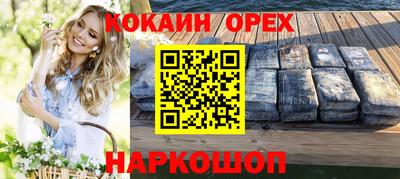 стаф Дубна