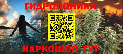 стаф Дубна