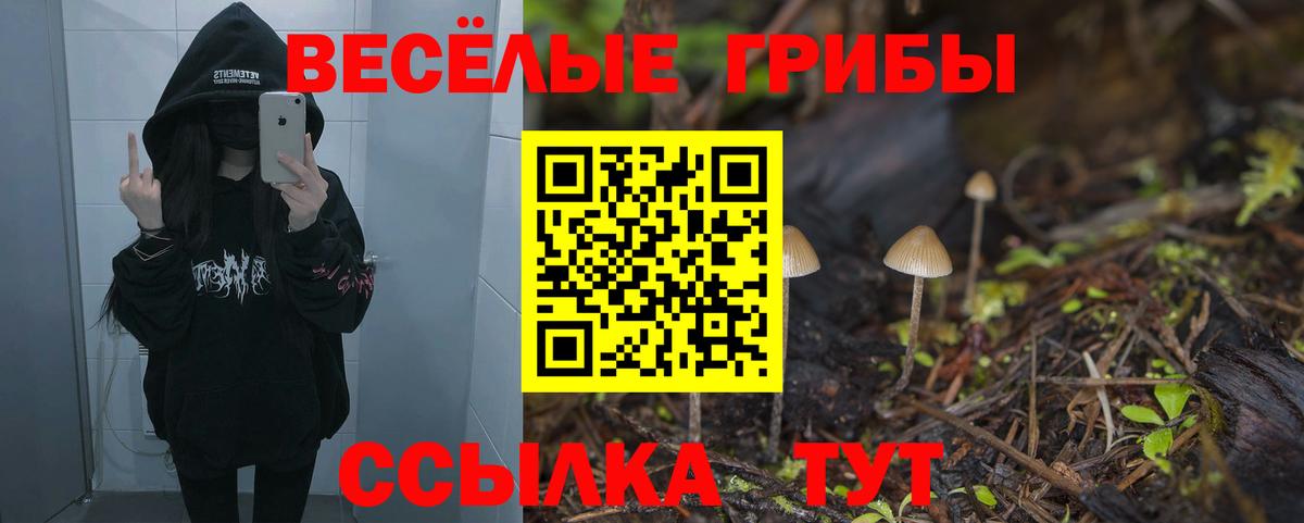 Бутират Кузнецк